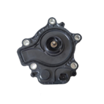 WATER PUMP of car Good quality, one year warranty fit for 2012Ralink,161A0-29015